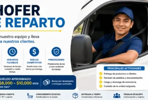 Chofer de reparto